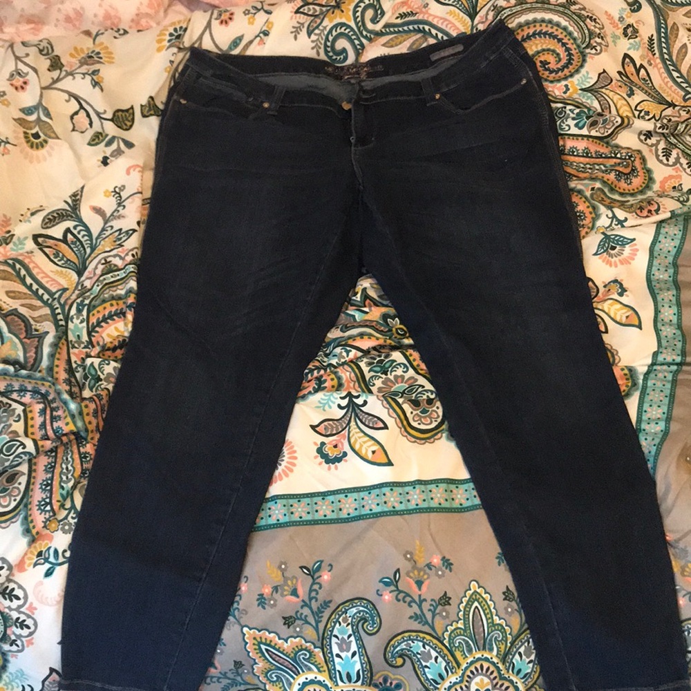 Lane bryant x Melissa McCarthy jeans size 20